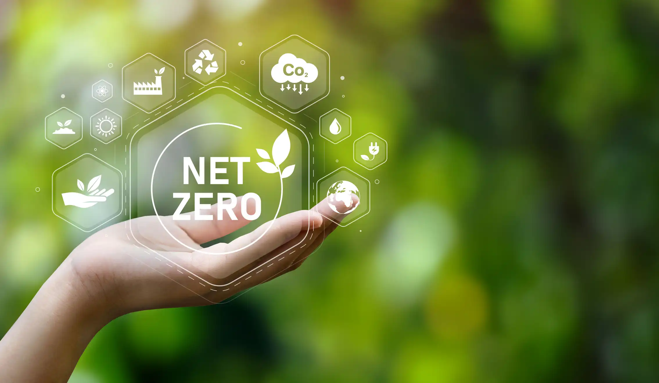 The Net Zero Seminar Programme